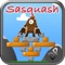 New Classic Sasquash is adventure puzzle game, it's based on the classic Totem Destroyer game