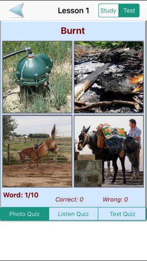 English Grammar With Photos (Learning & Practice)(圖2)-速報App