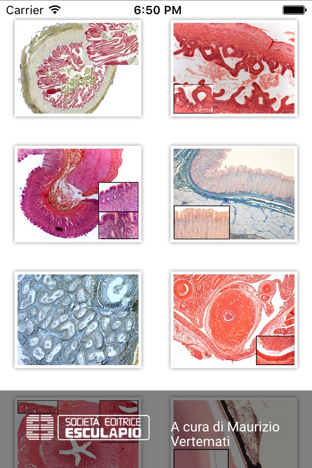 Diagnosi di Anatomia Microscopica screenshot 2