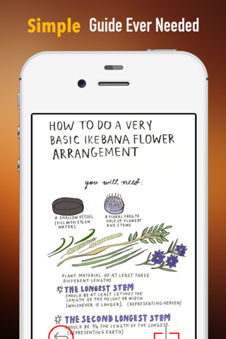 DIY Flower Arranging for Beginners:Guide and Tips screenshot 2