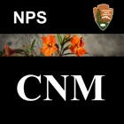 CNM WildFlowers