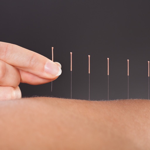 Acupuncture 101: Glossary and Tutorial icon