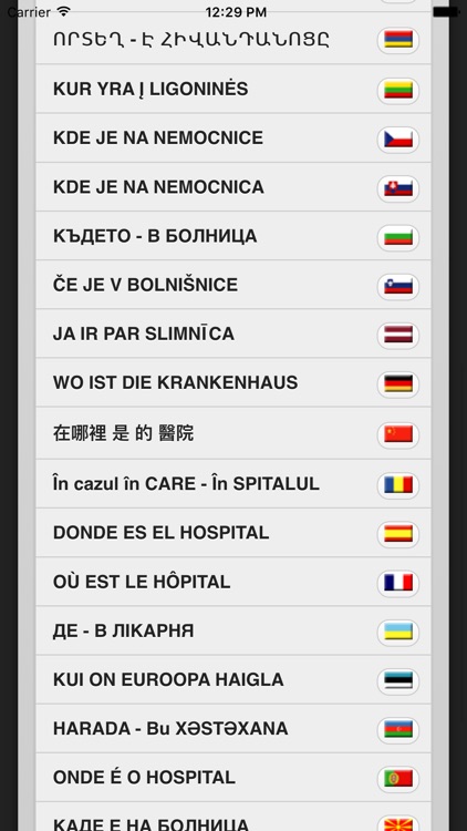 Offline Translate
