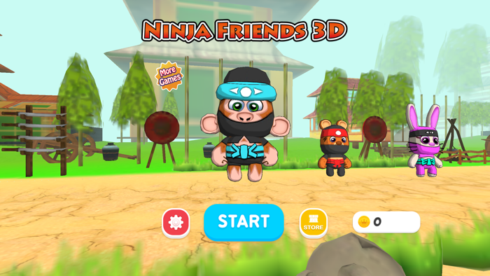Ninja Friends 3D