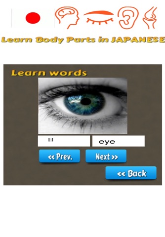 Learn Body Parts in Japanese screenshot 2