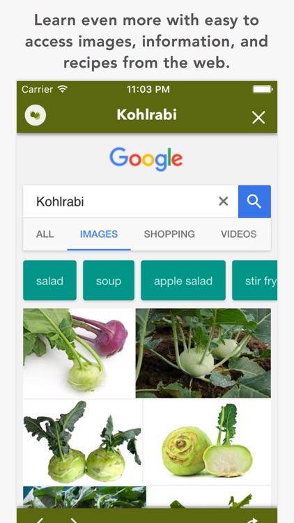 Ramps - Guide to Food screenshot-3