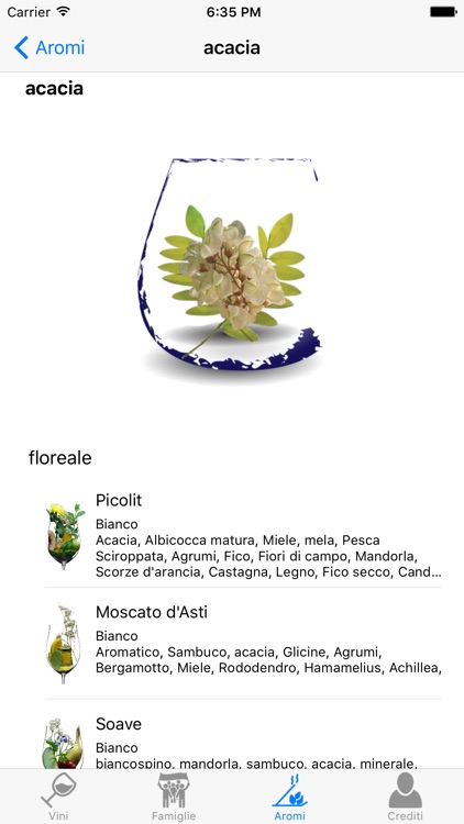 Aromi dei Vini Lite screenshot-3