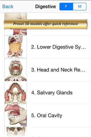 Digestive Anatomy Atlas: Essential Reference for Students and Healthcare Professionals screenshot 2