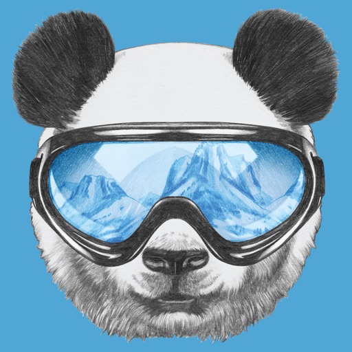 Panda Snowboarder -  Move As Quick As You Can And Reflex Test