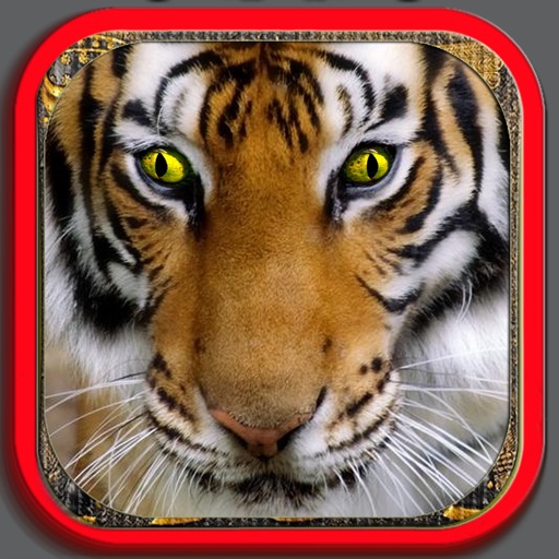 Funny Animals Puzzle for Kids icon
