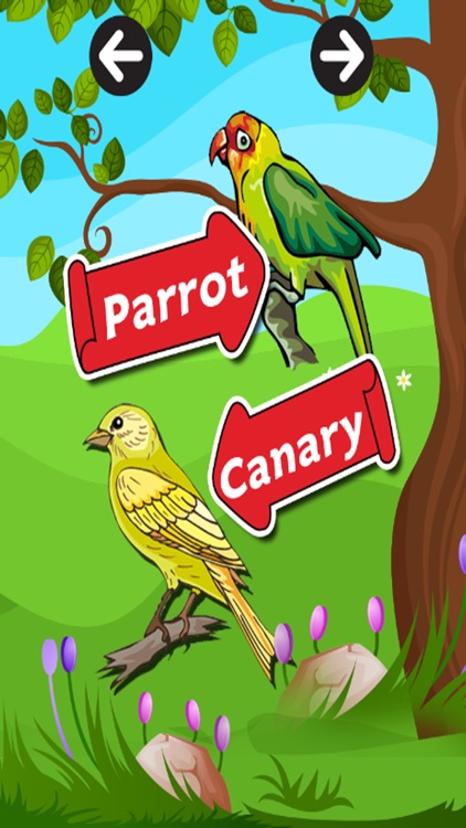 Learn English Vocabulary V.5 : learning Education games for kids and beginner Free screenshot-3