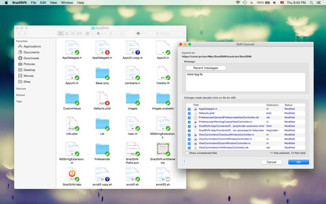 Mac os svn client