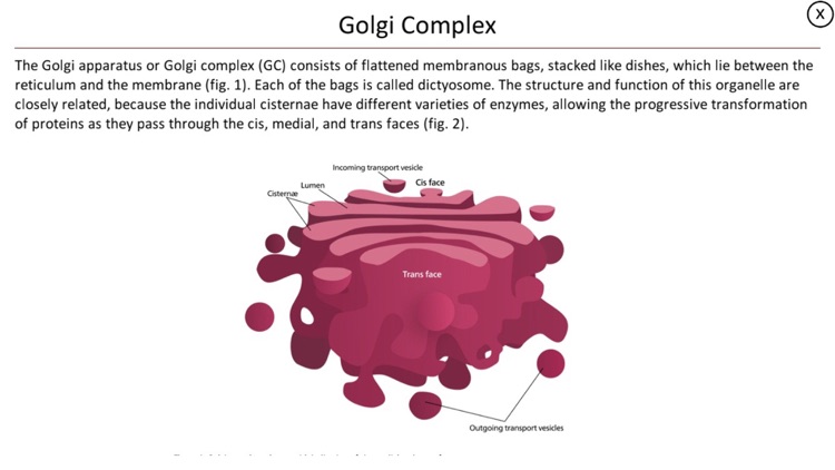 The Cell screenshot-4