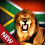 Bow Hunting Africa Savannah Lion  Wild Animals hunter