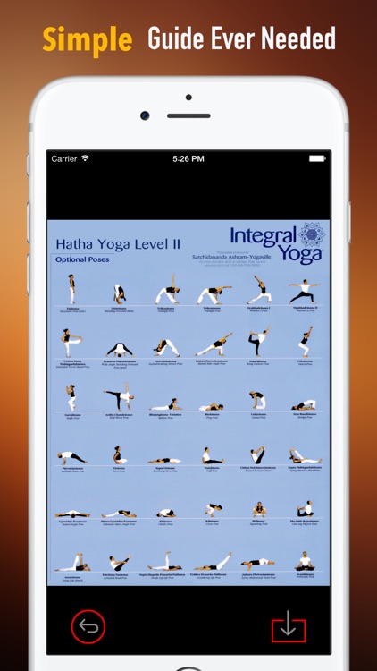 Hatha Yoga 101: Techniques and Tutorials screenshot-1