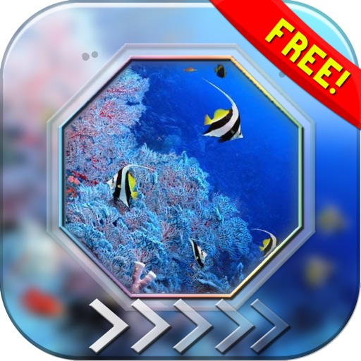 BlurLock – Ocean : Blur Lock Screen Under Water World Photo Maker Wallpapers For Free