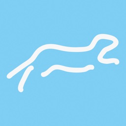 Ferret Runner