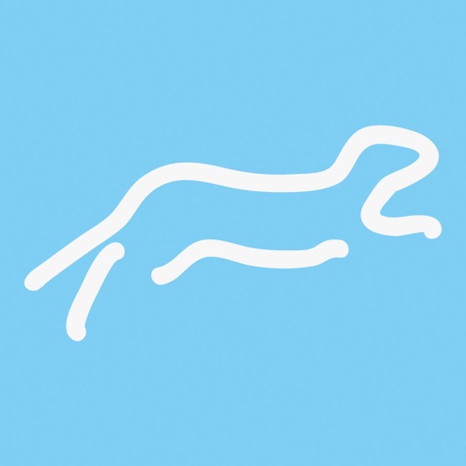 Ferret Runner Icon