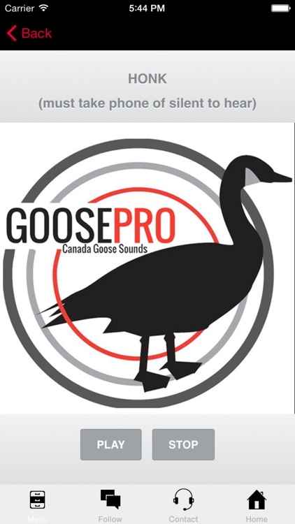 Goose Hunting Calls-Goose Sounds-Goose Call App screenshot-0