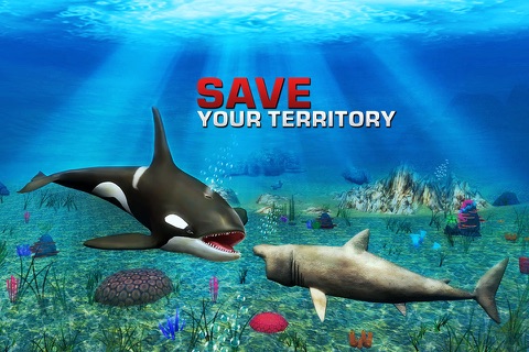 Killer Whale Simulator 3D – An Orca simulation game screenshot 3