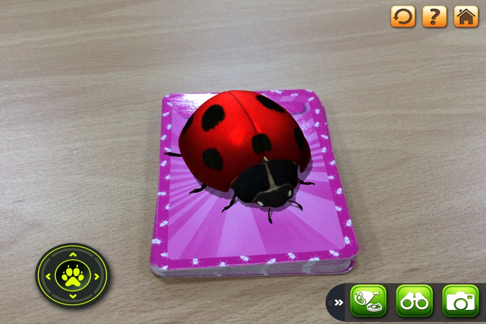 3D LEARNING CARD BUGS screenshot 3