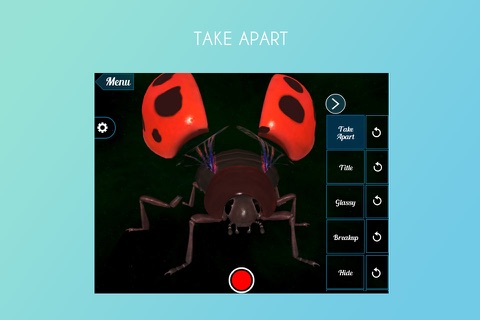 Beetle 3D screenshot 2