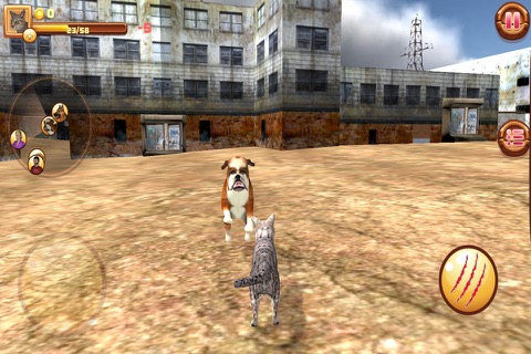 Homeless Cat Simulator screenshot 4