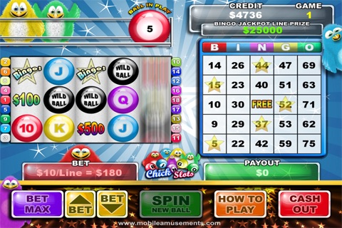 Bingo Chick Slots FREE screenshot 2