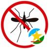 Aedes na Mira RR