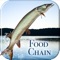 iFishing Food Chain is a highly addictive, but easy to play puzzle game using official images and sounds from the hit game iFishing