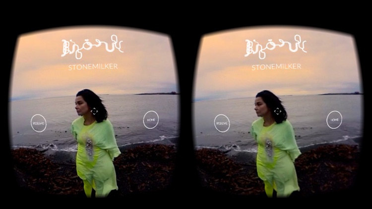 Björk: Stonemilker VR