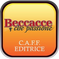 BECCACCE CHE PASSIONE. PC 용