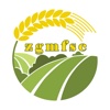 zgmfsc