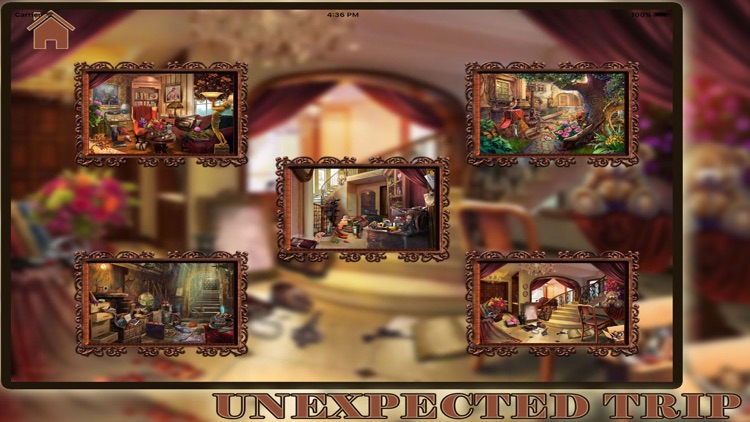 Unexpected Trip Hidden Object