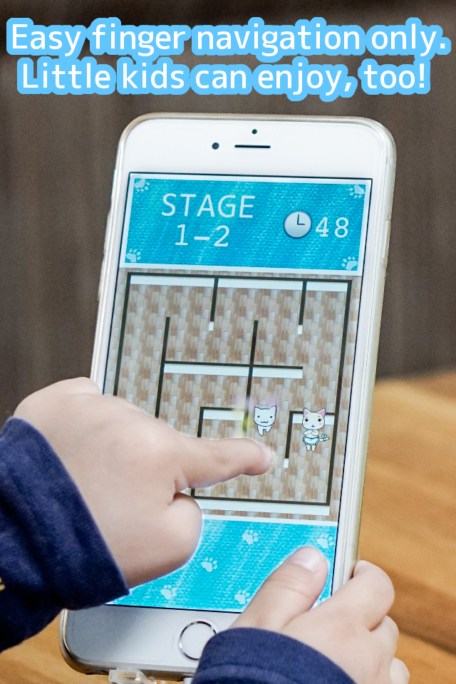 Maze of cat adventure