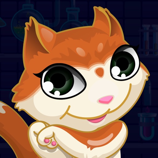 Kitty Cat Jump City - Don’t Get Boxed In Trying To Find Food iOS App