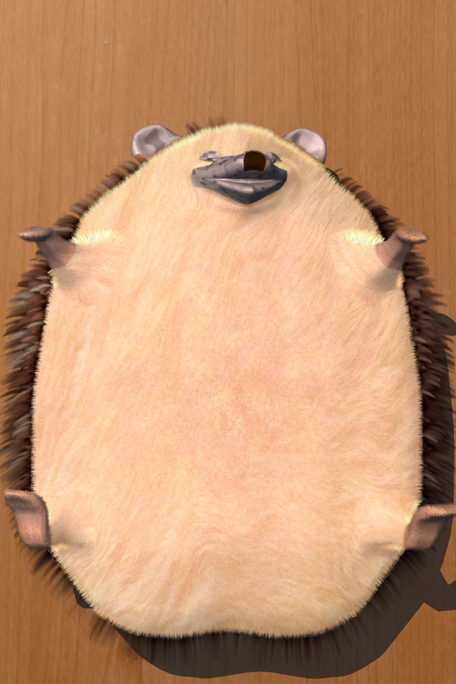 Super Belly Rub: Hedgehog Massage Parlor screenshot 3