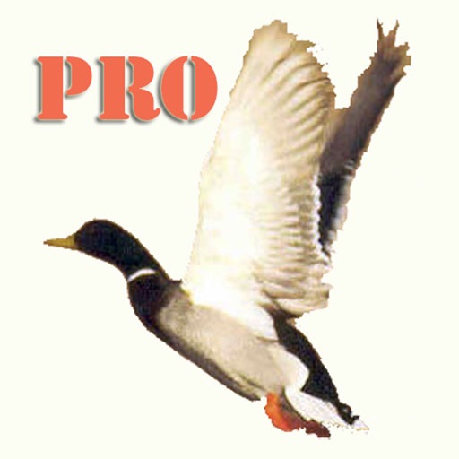 Duck Hunting Pro icon