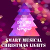 Musical Christmas Lights
