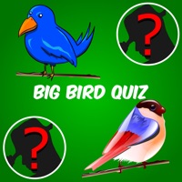 Big Bird Watchers Quiz Maestro Ornithology Watching Word Trivia