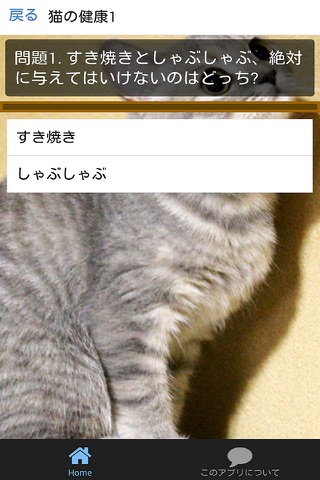 猫の飼い方のクイズ screenshot 2