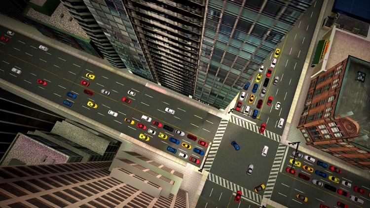 City Car Driving - Traffic