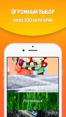 Game screenshot Картинки на Обои для iPhone и iPad apk