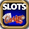 Wild Dolphins Casino Double Slots - FREE Special Edition