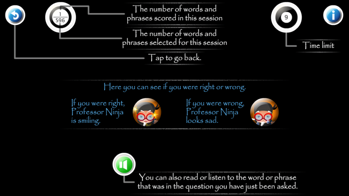 Professor Ninja Chinese