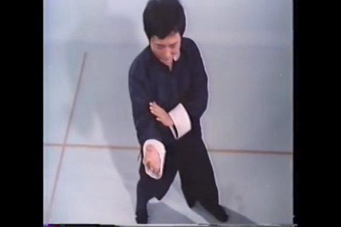 Teach Yourself Wing Chun screenshot 3