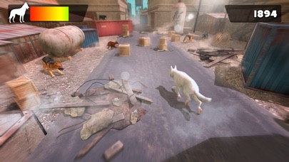 MY DOG GAME . BEST DOGGY RACING GAME FOR FREE LITTLE GIRLS 1.0.1 IOS ĐUA XE MY DOG GAME . BEST DOGGY RACING GAME FOR FREE LITTLE GIRLS 1.0.1 IOS