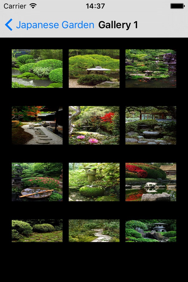 Best Japanese Garden screenshot 2