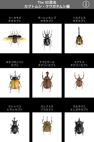 The 3D Insects I screenshot 2