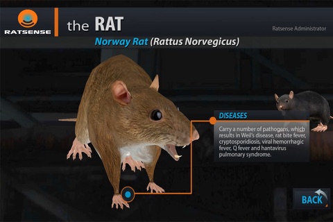 Ratsense screenshot 2